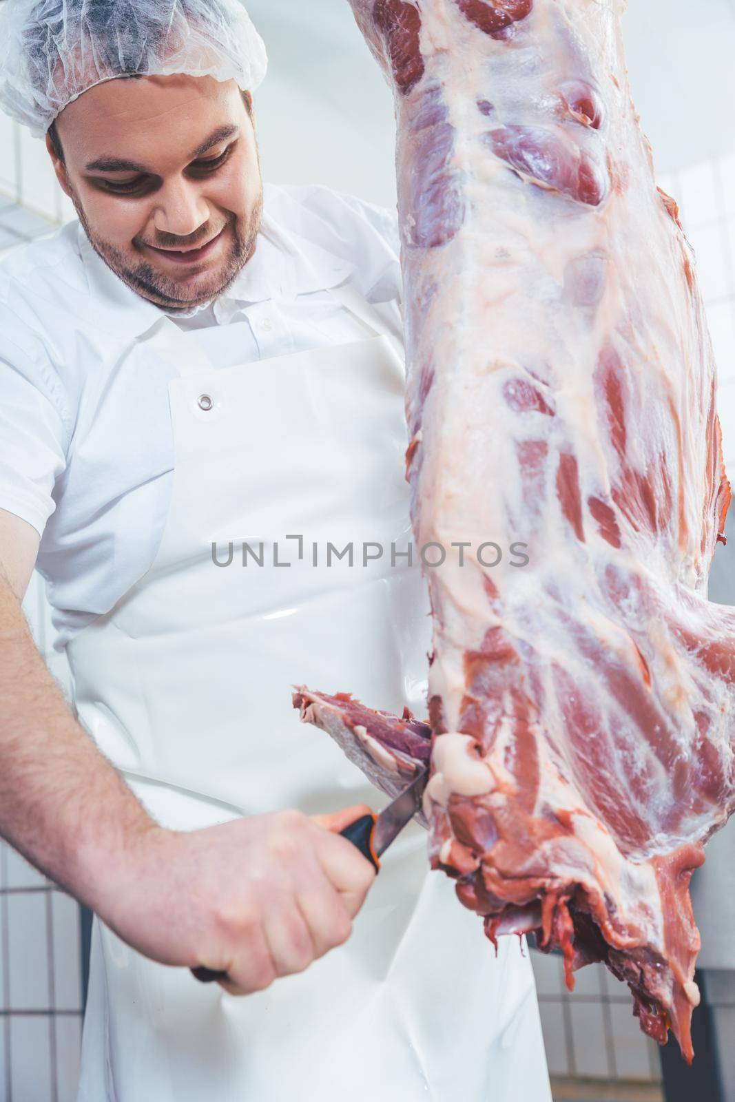 Butcher cutting to pieces meat from carcass by Kzenon