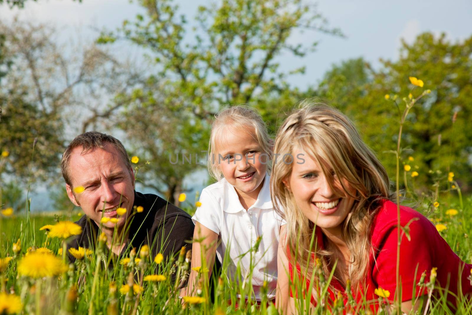 Happy family sitting in a meadow full of dandelions in spring (selective focus on girl)