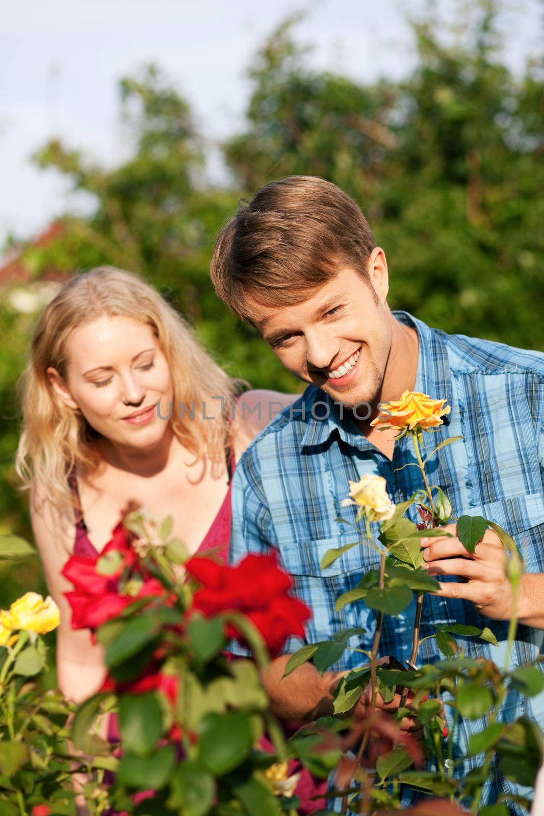 Couple doing garden work in the flower bed at beautifully sunny day