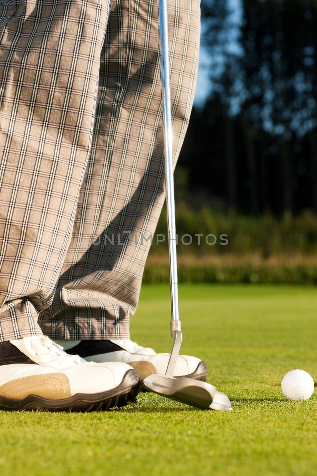 Golf player putting ball into hole by Kzenon