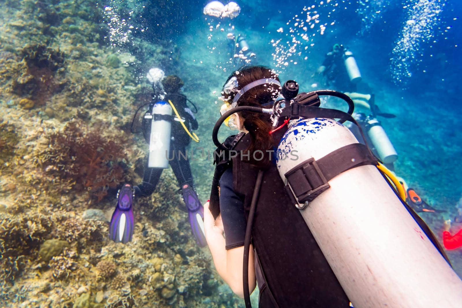 Divers scuba diving looking at sea turtle and fish under water by Kzenon