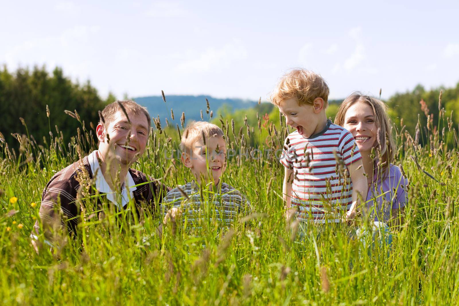 Very happy family with two kids sitting in a  meadow in the summer sun in front of a forest and hills, they are nearly hidden by the high grass, very peaceful scene