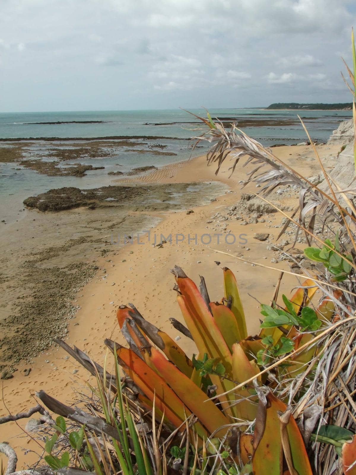 porto seguro, bahia / brazil - january 2, 2010: View of the Espelho Beach in the city of Porto Seguro.