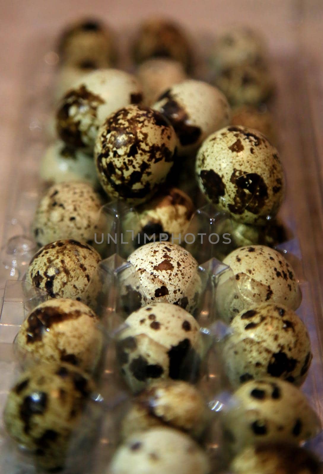 quail egg in kitchen by joasouza