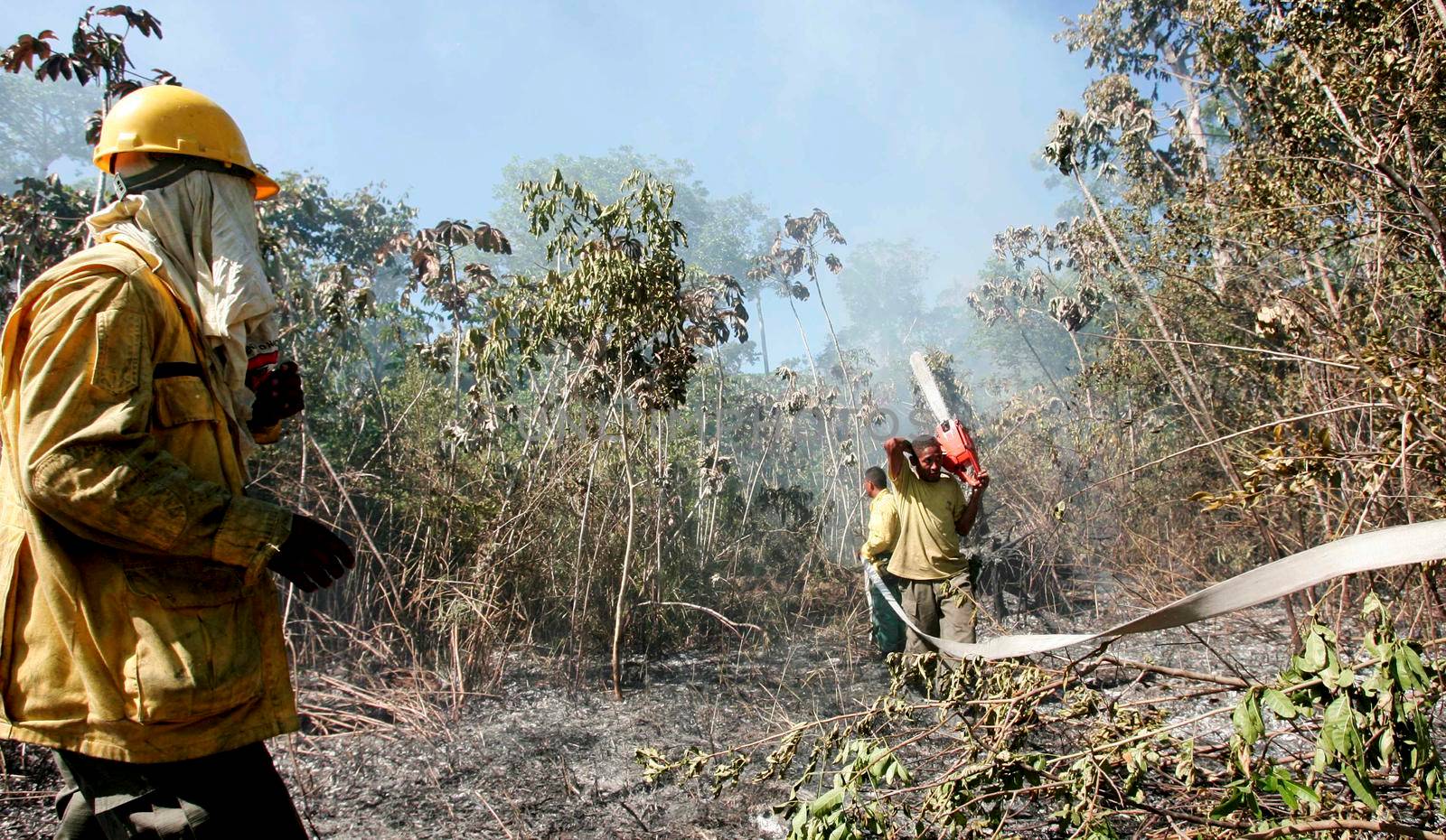 prado, bahia / brazil - december 8, 2009: brigade members fight forest fire in native forest in the Discovery National Park, in the municipality of Prado. 