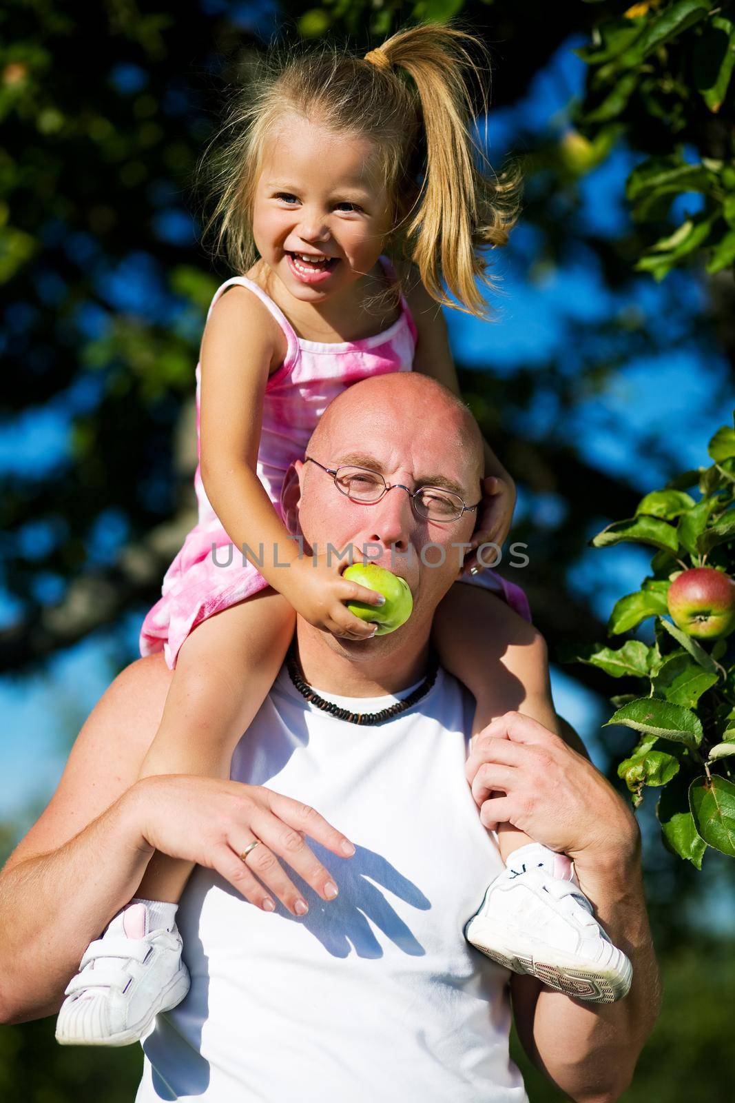 A girl feeding her daddy with apples sitting on his shoulders and having fun