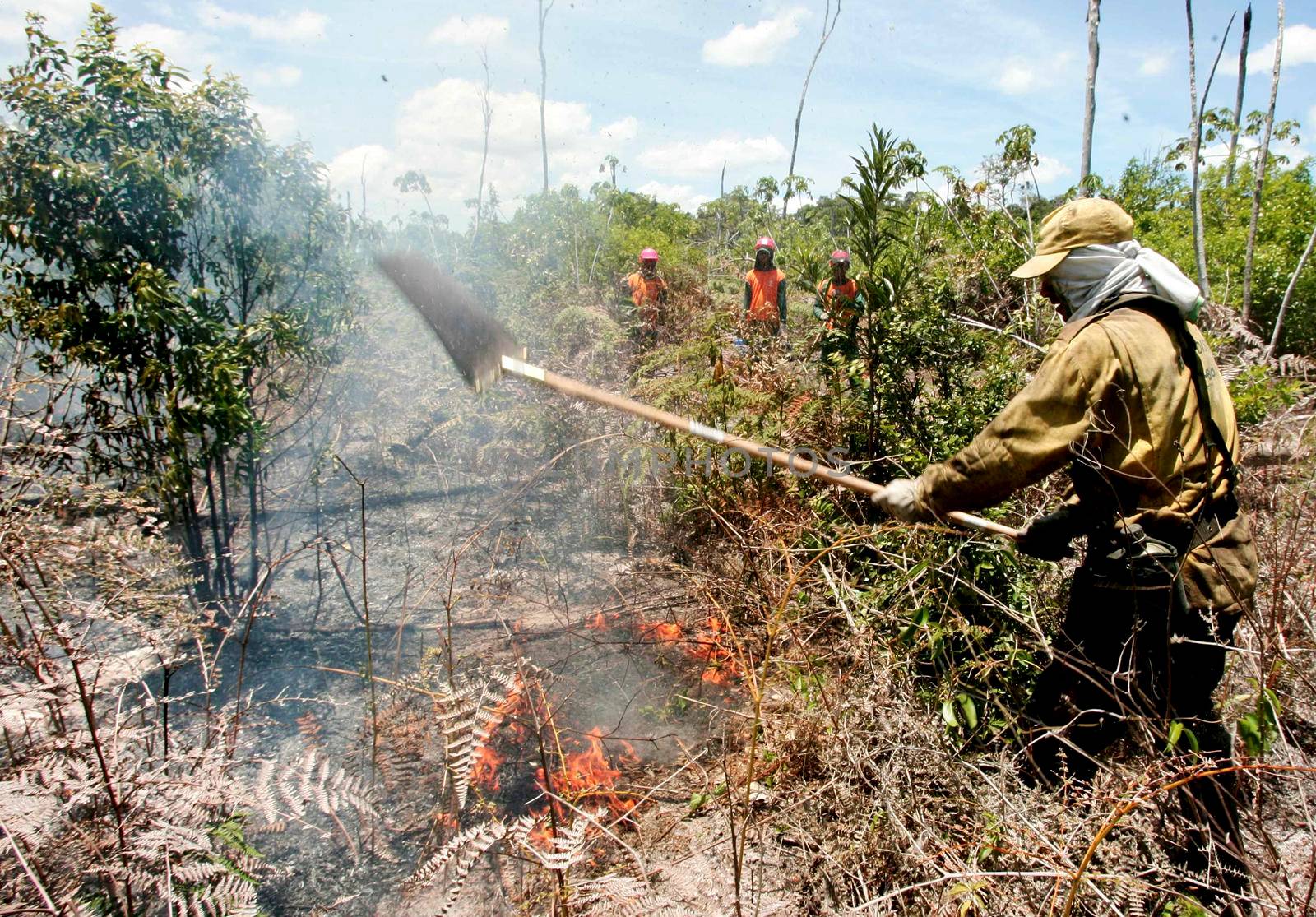 prado, bahia / brazil - december 8, 2009: brigade members fight forest fire in native forest in the Discovery National Park, in the municipality of Prado.    