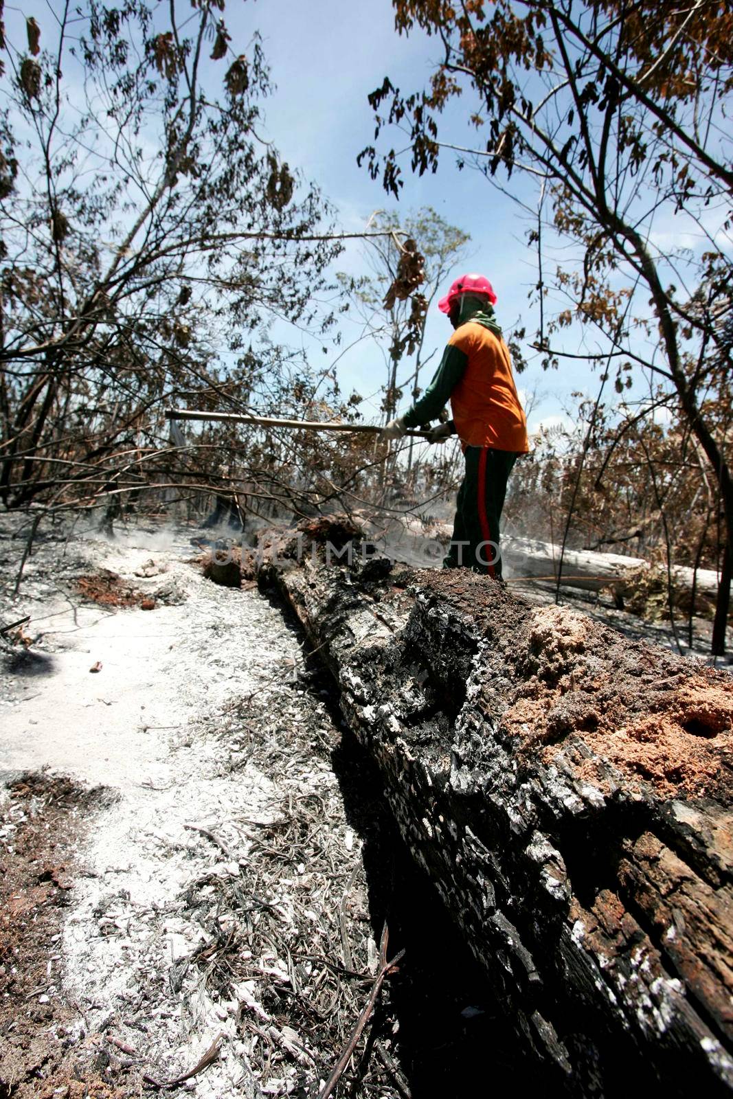 prado, bahia / brazil - december 8, 2009: brigade members fight forest fire in native forest in the Discovery National Park, in the municipality of Prado.    