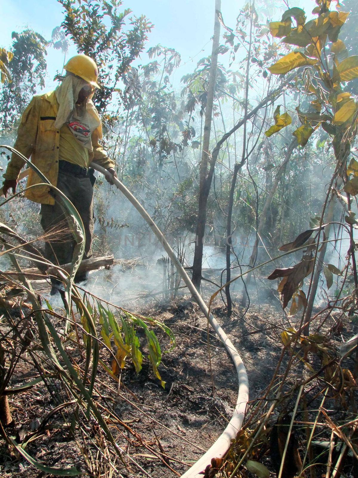 prado, bahia / brazil - december 8, 2009: brigade members fight forest fire in native forest in the Discovery National Park, in the municipality of Prado. 