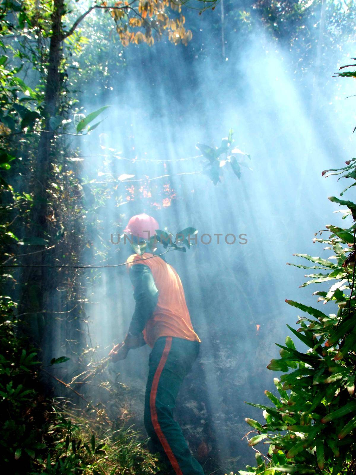 prado, bahia / brazil - december 8, 2009: brigade members fight forest fire in native forest in the Discovery National Park, in the municipality of Prado. 