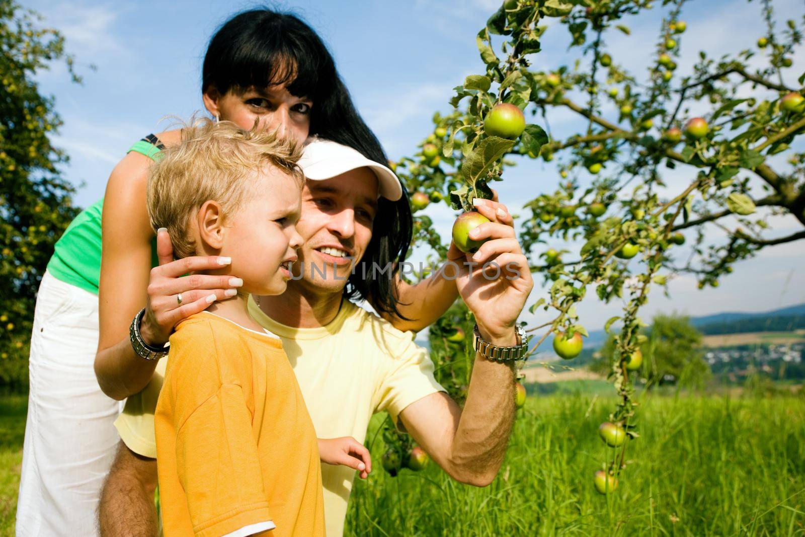 Family Picking apples by Kzenon