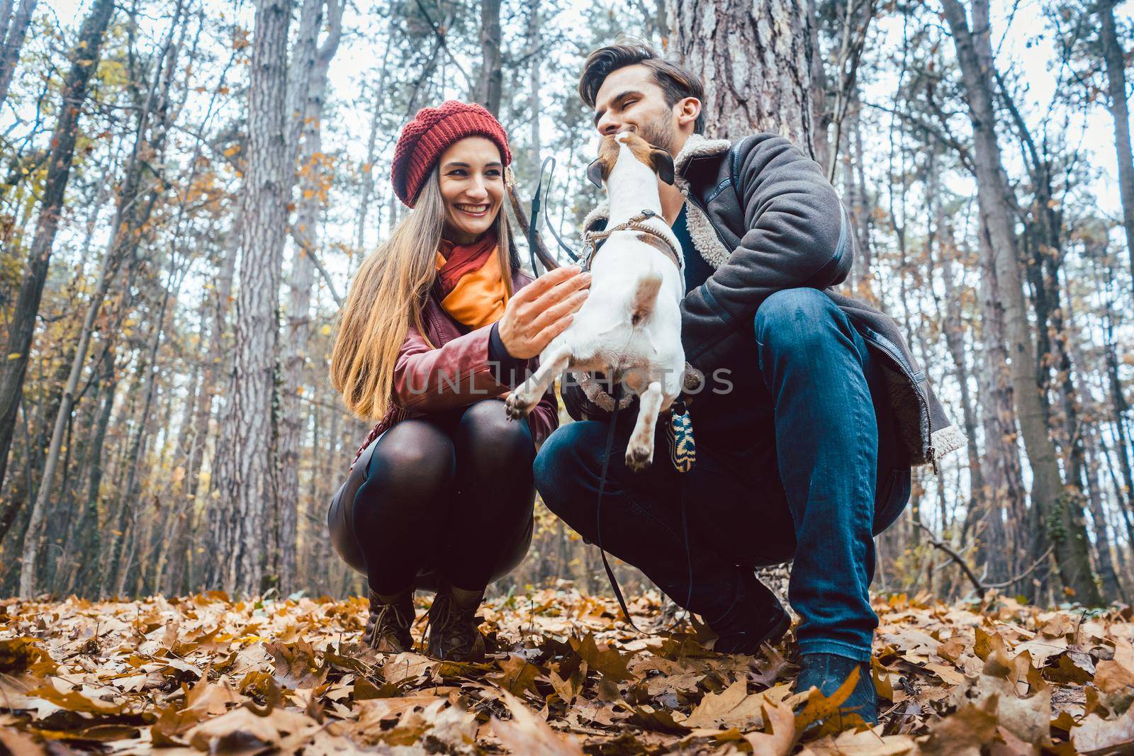 Couple of woman and man playing with their dog in colorful fall landscape