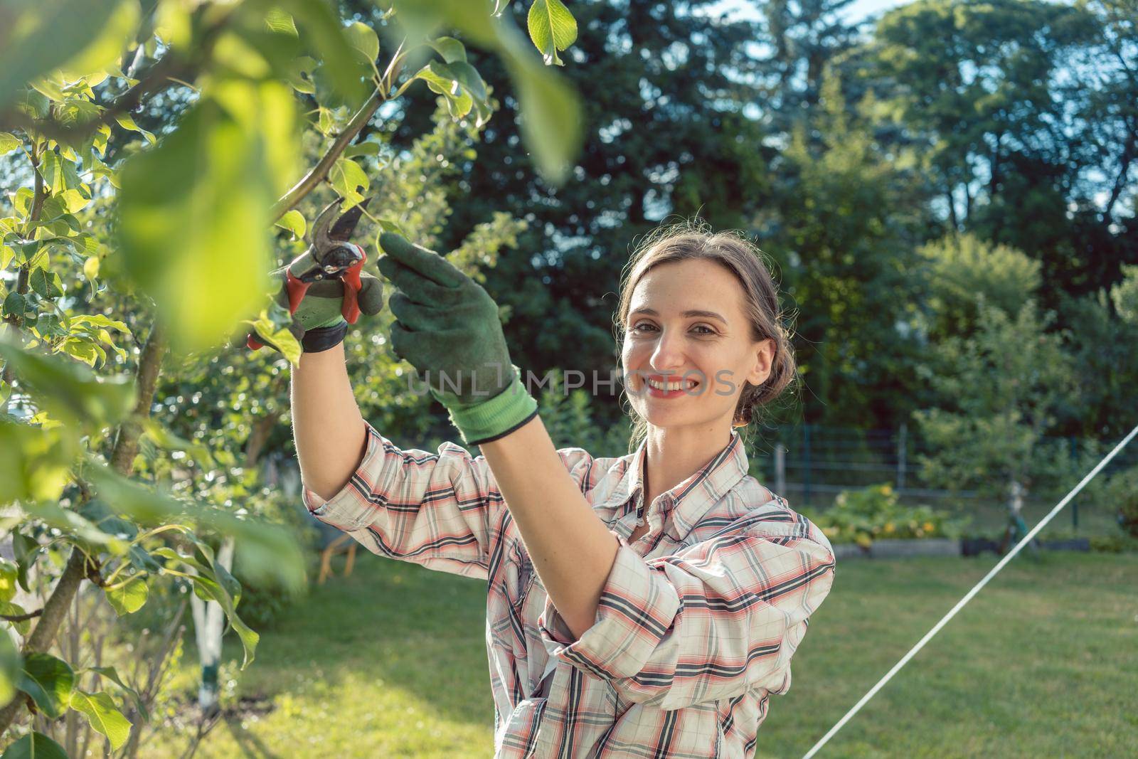 Woman in garden outdoors checking fruit tree