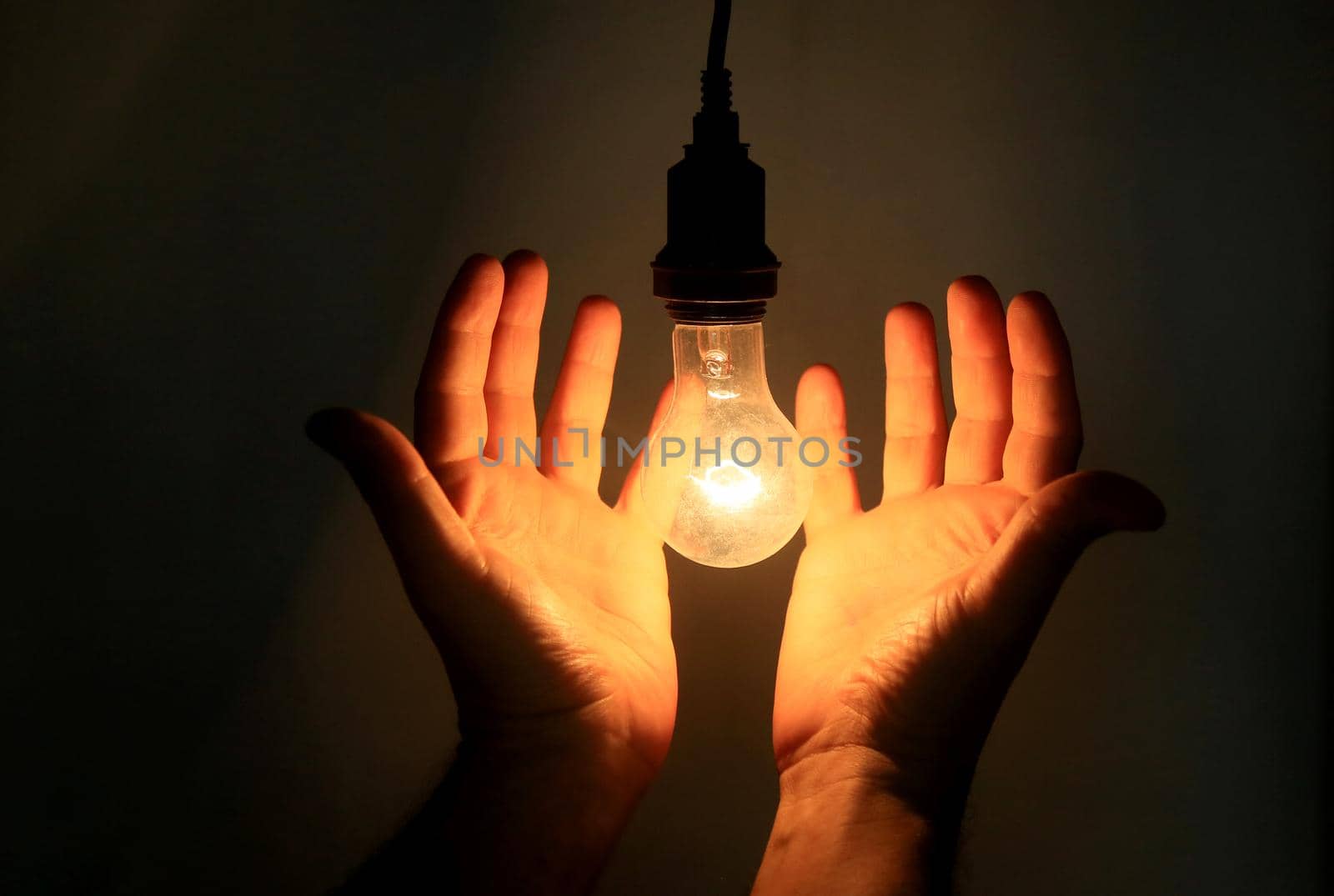 hands holding incandescent lamp by joasouza