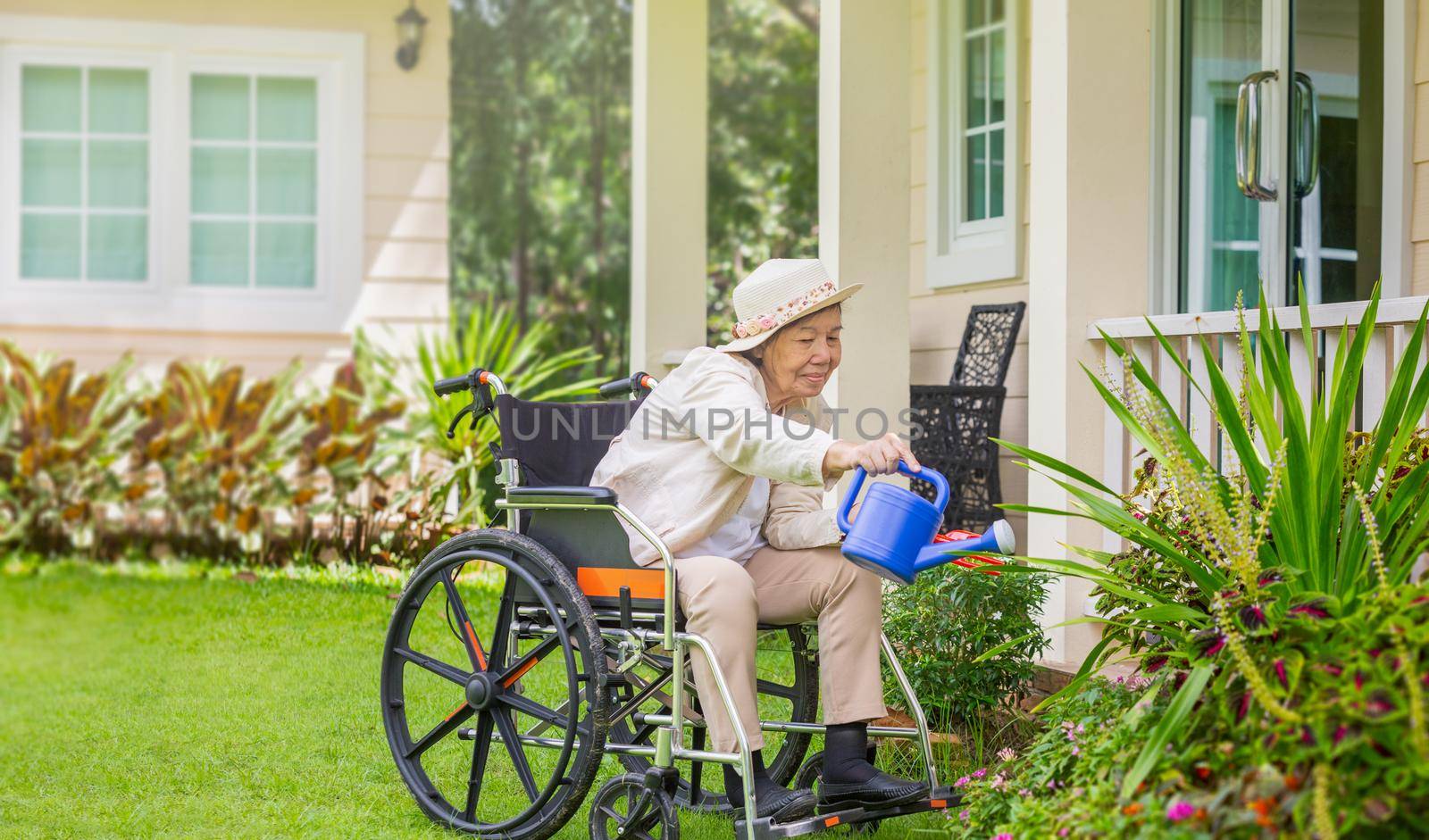 Elderly woman relax with gardening in backyard