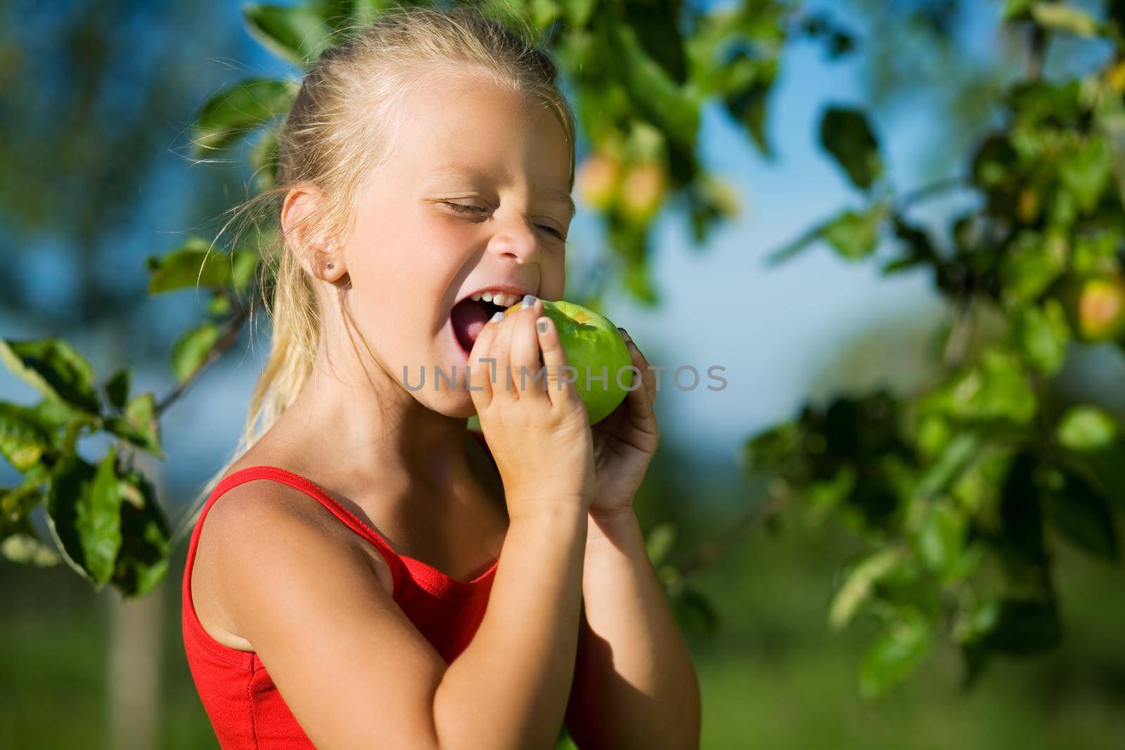 Little girl nibbling a sweet apple