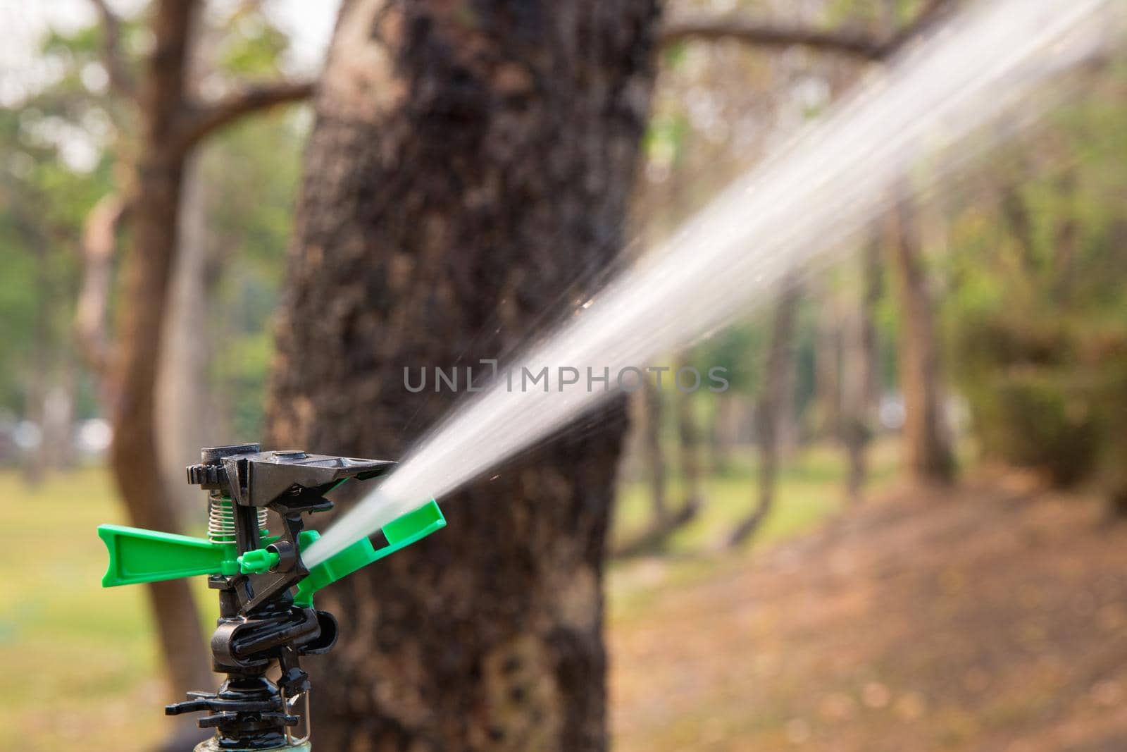 sprinkler head watering the bush and grass in backyard