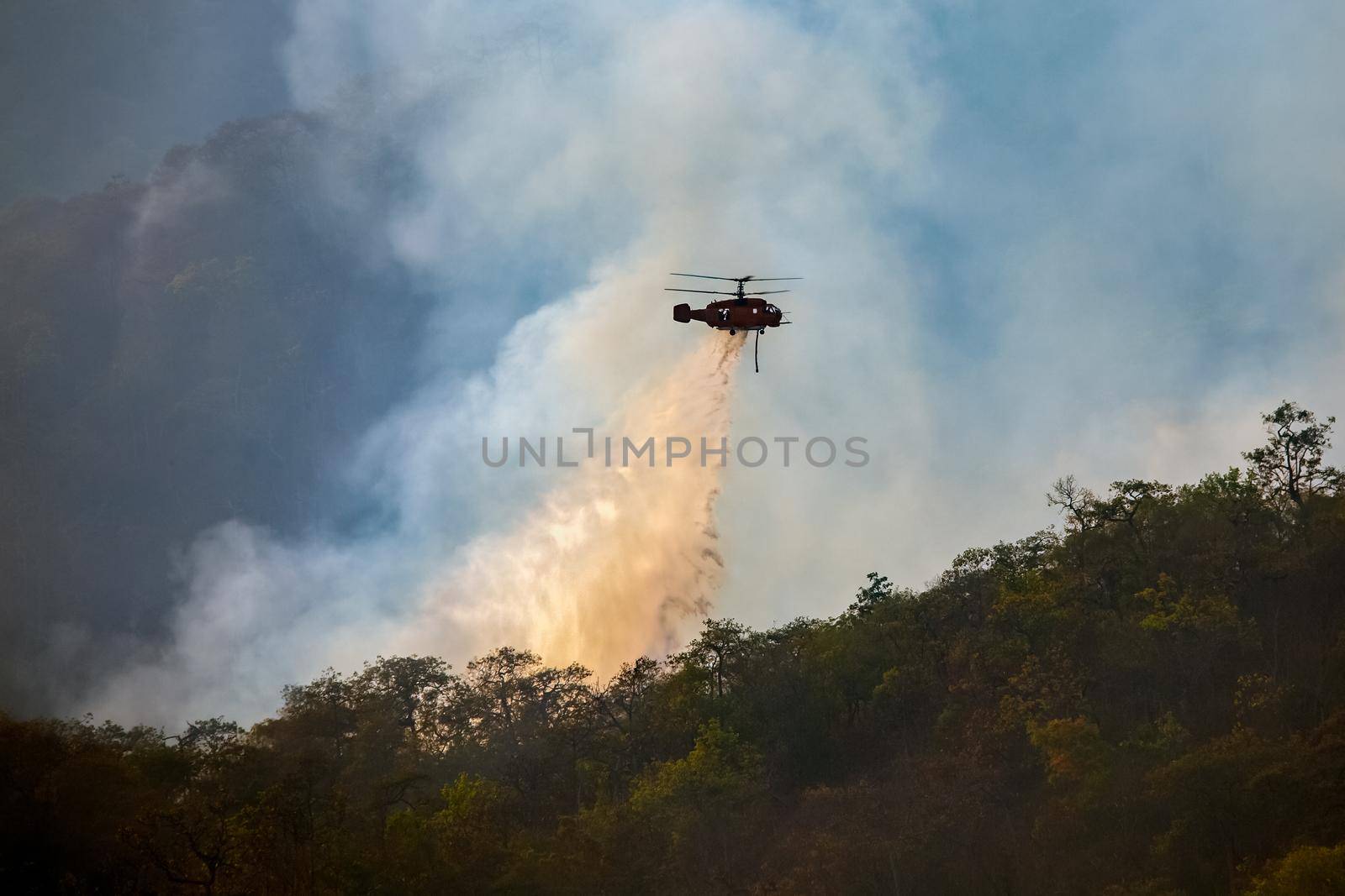 Helicopter dumping water on forest fire