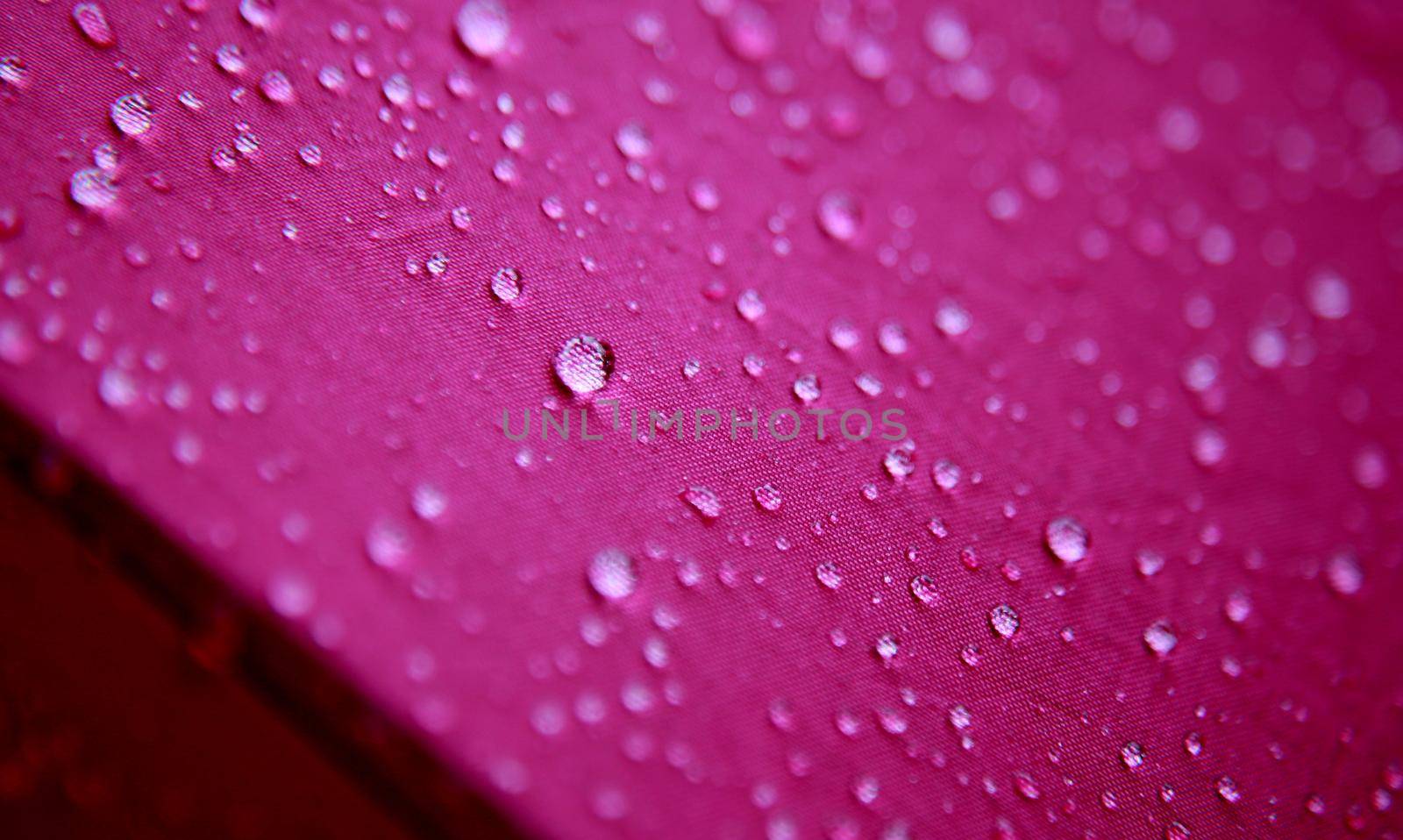 mata de sao joao, bahia / brazil - october 18, 2020: drops of water are seen on the surface during rain in the city of Mata de Sao Joao.