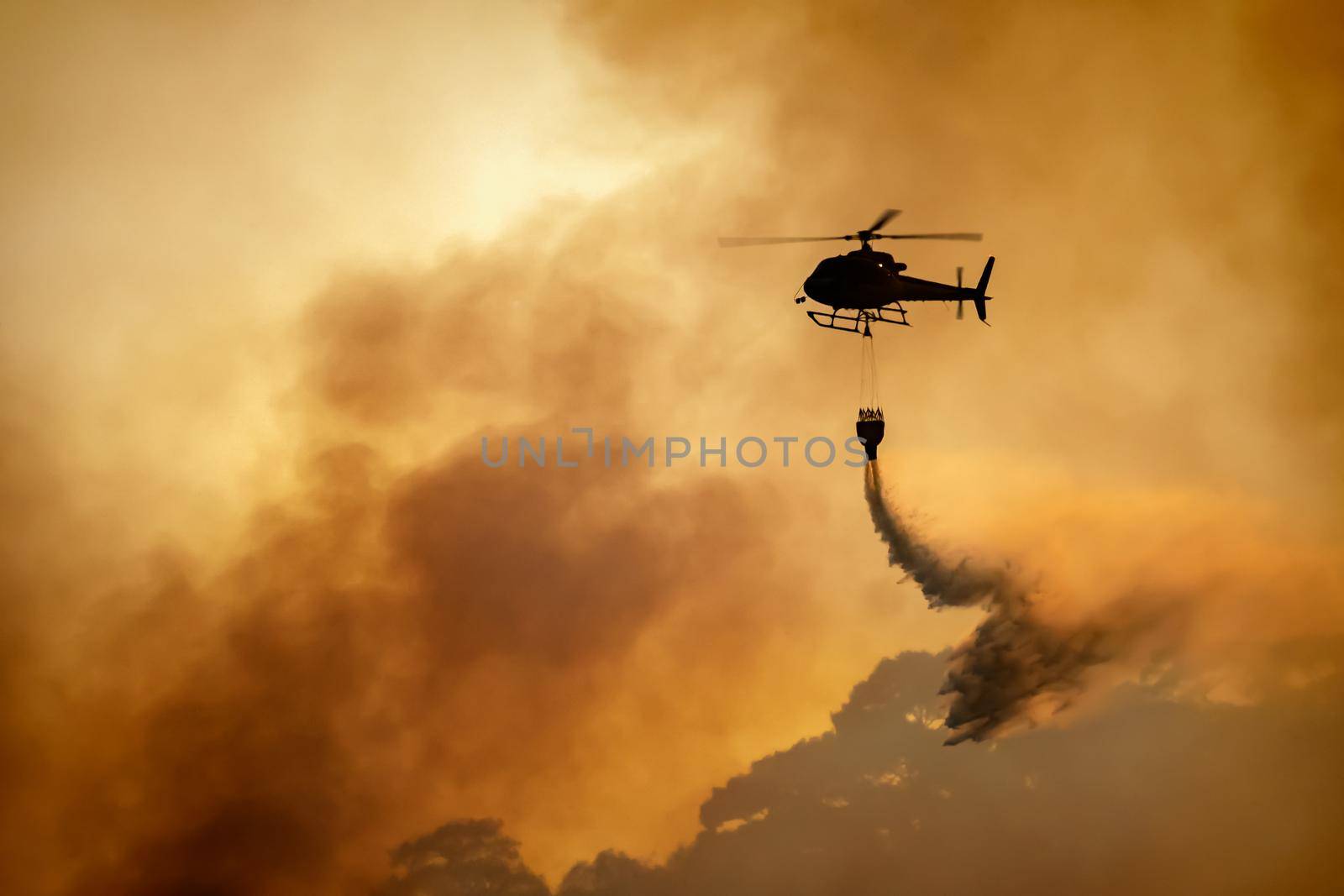 Helicopter dumping water on forest fire