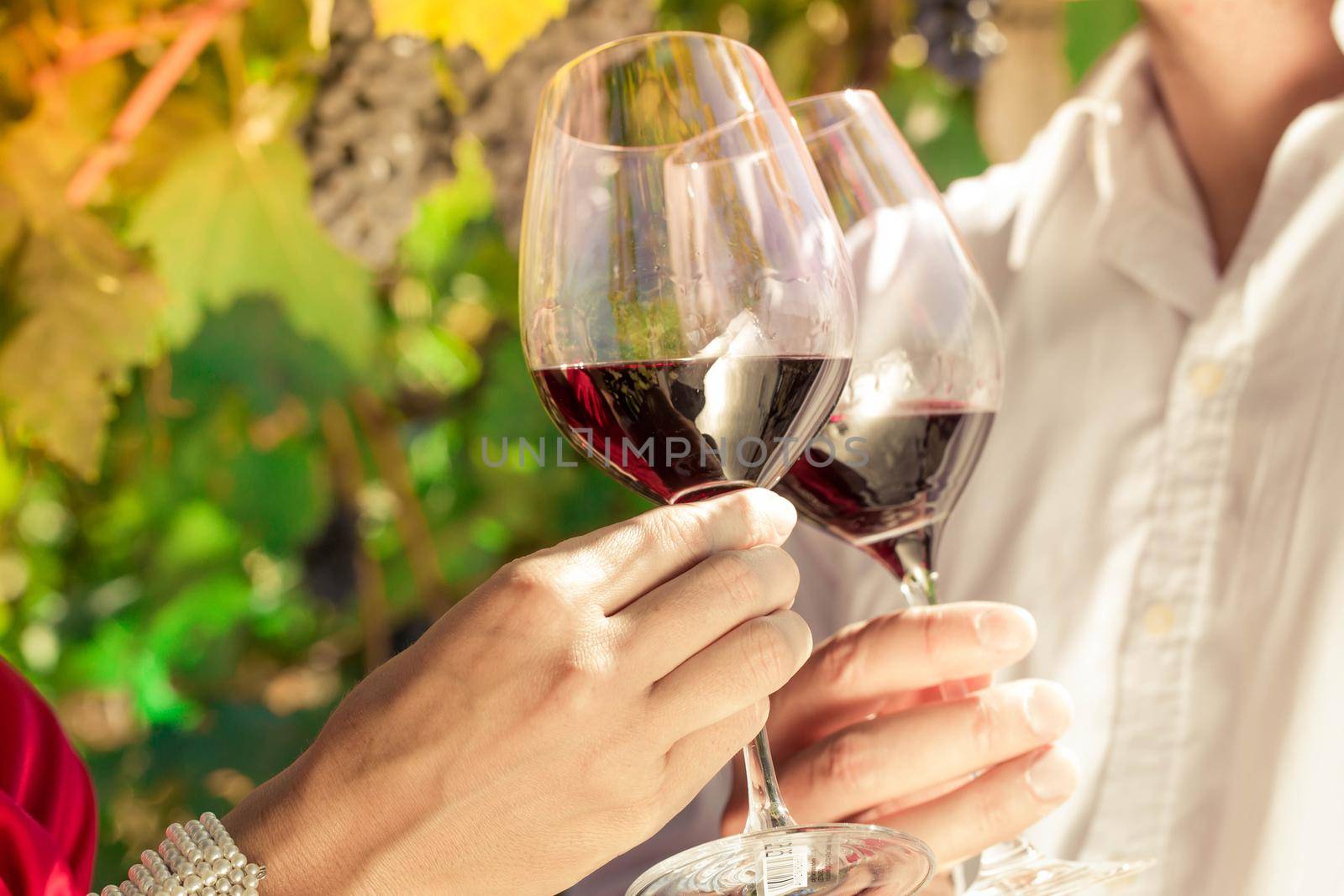 Vintner couple clinking wine glasses in vineyard, close-up