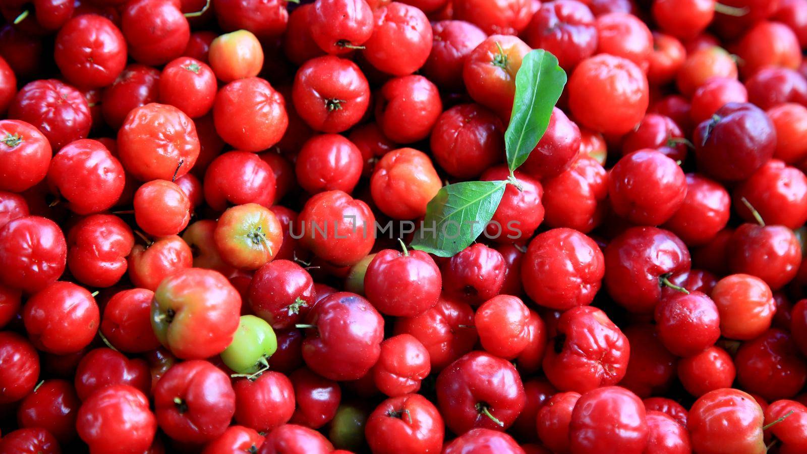 acerola fruit for sale in salvador by joasouza