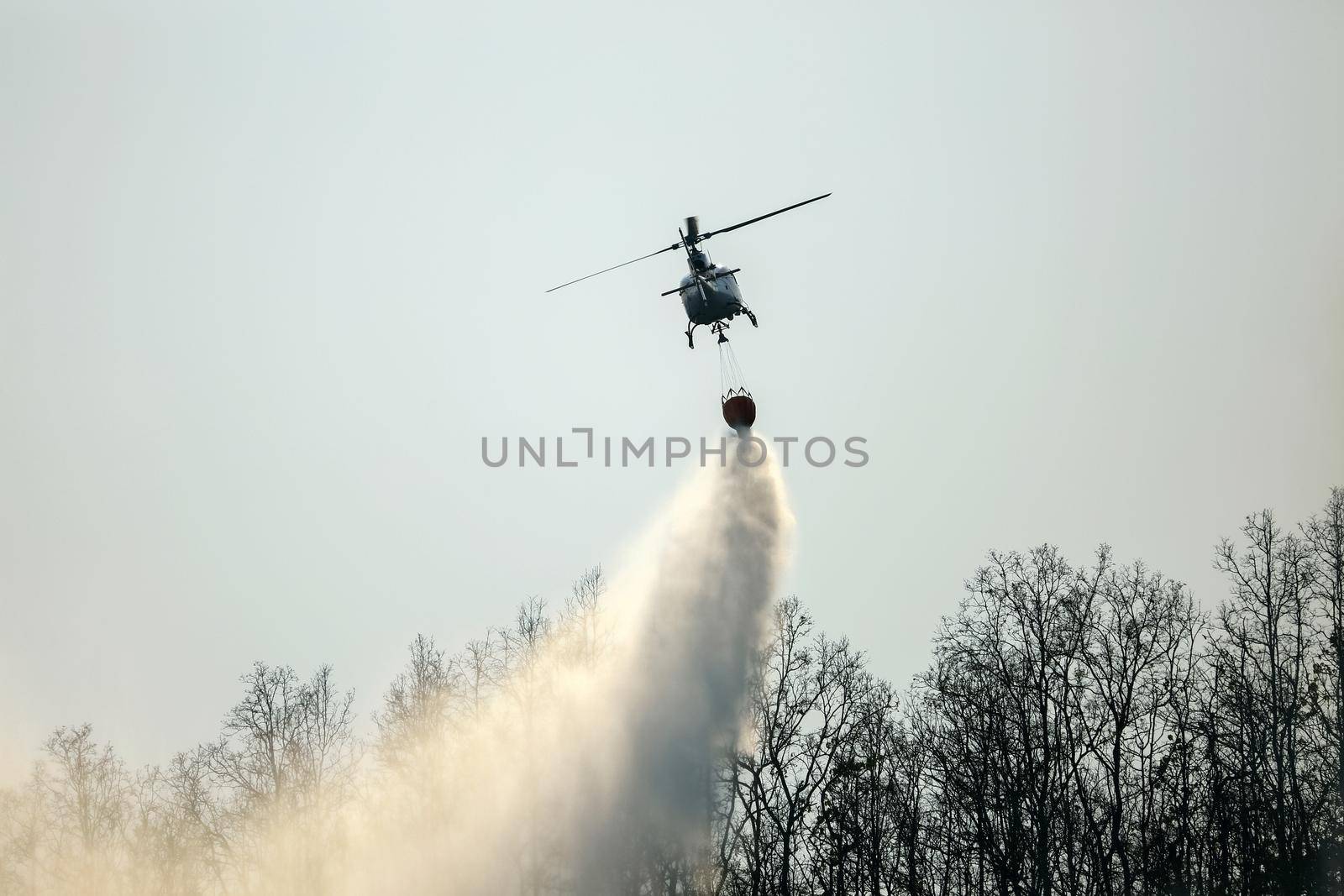 Helicopter dropping water on forest fire