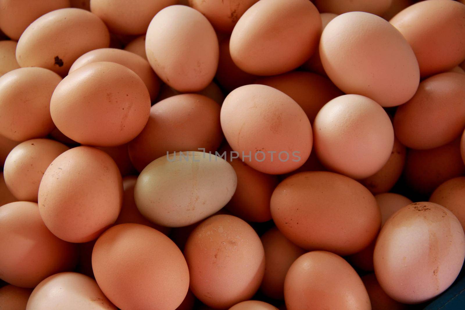 conde, bahia / brazil - september 17, 2012: chicken eggs for sale at an open market in the city of Conde.
