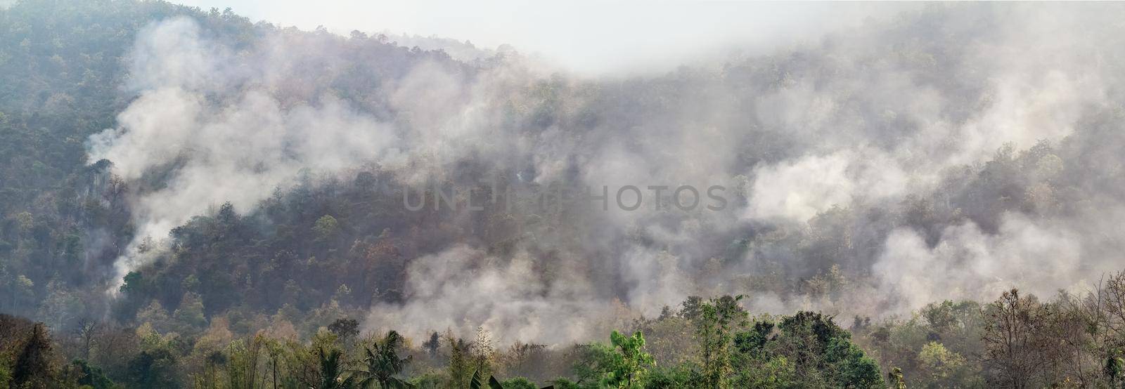 Amazon rain forest fire disaster is burning at a rate scientists have never seen before. by toa55