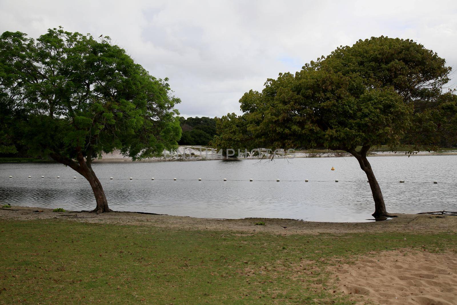 salvador, bahia, brazil - january 21, 2021: view of the waters of Lagoa do Abaete in the Itapua neighborhood in the city of Salvador.