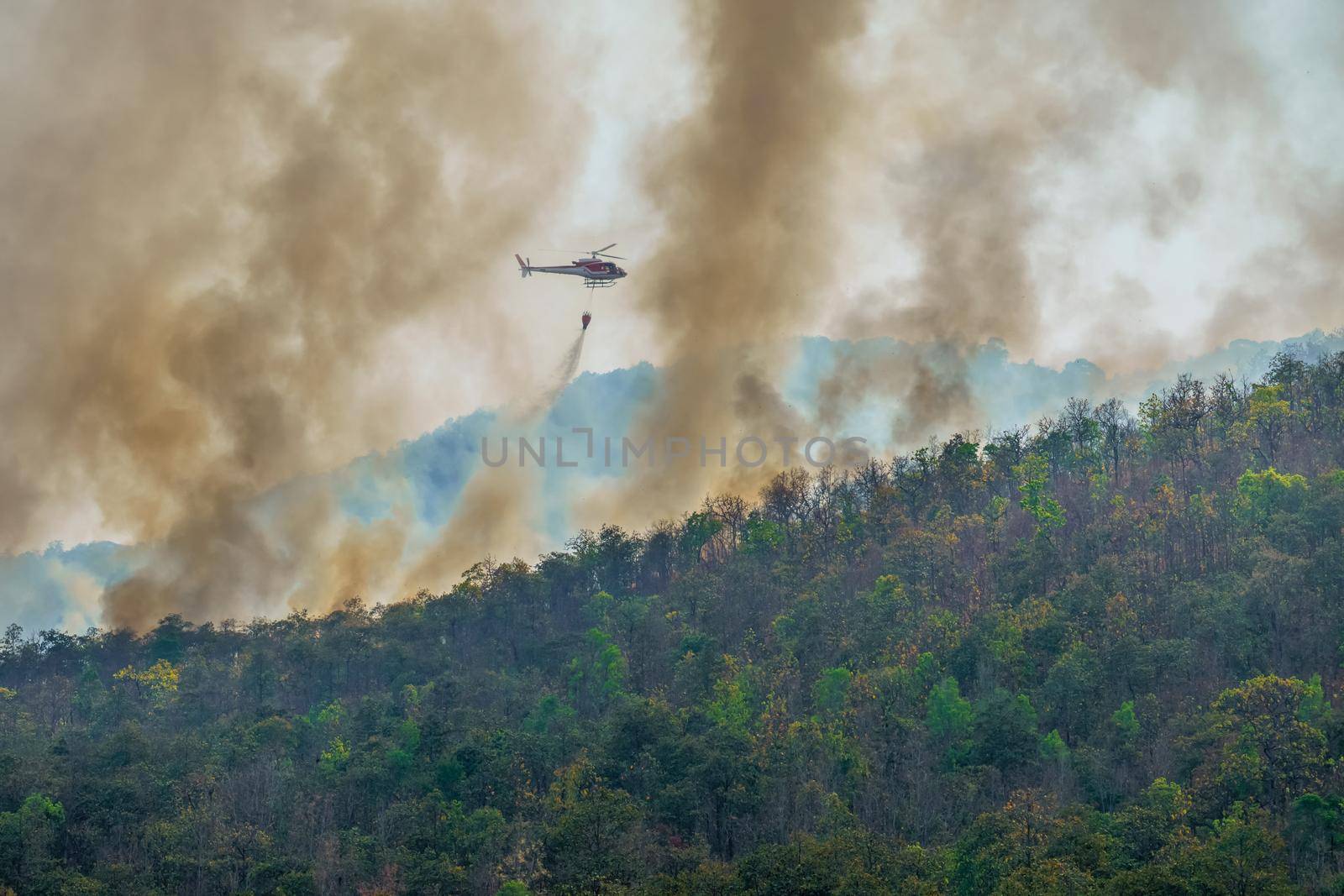 Helicopter dumping water on forest fire