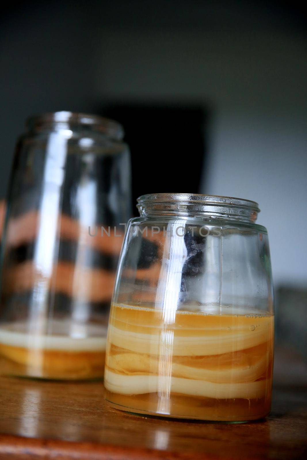 salvador, bahia / brazil - september 20, 2020: pot of scoby kombucha fermentation in phase 1, is seen in the city of Salvador.