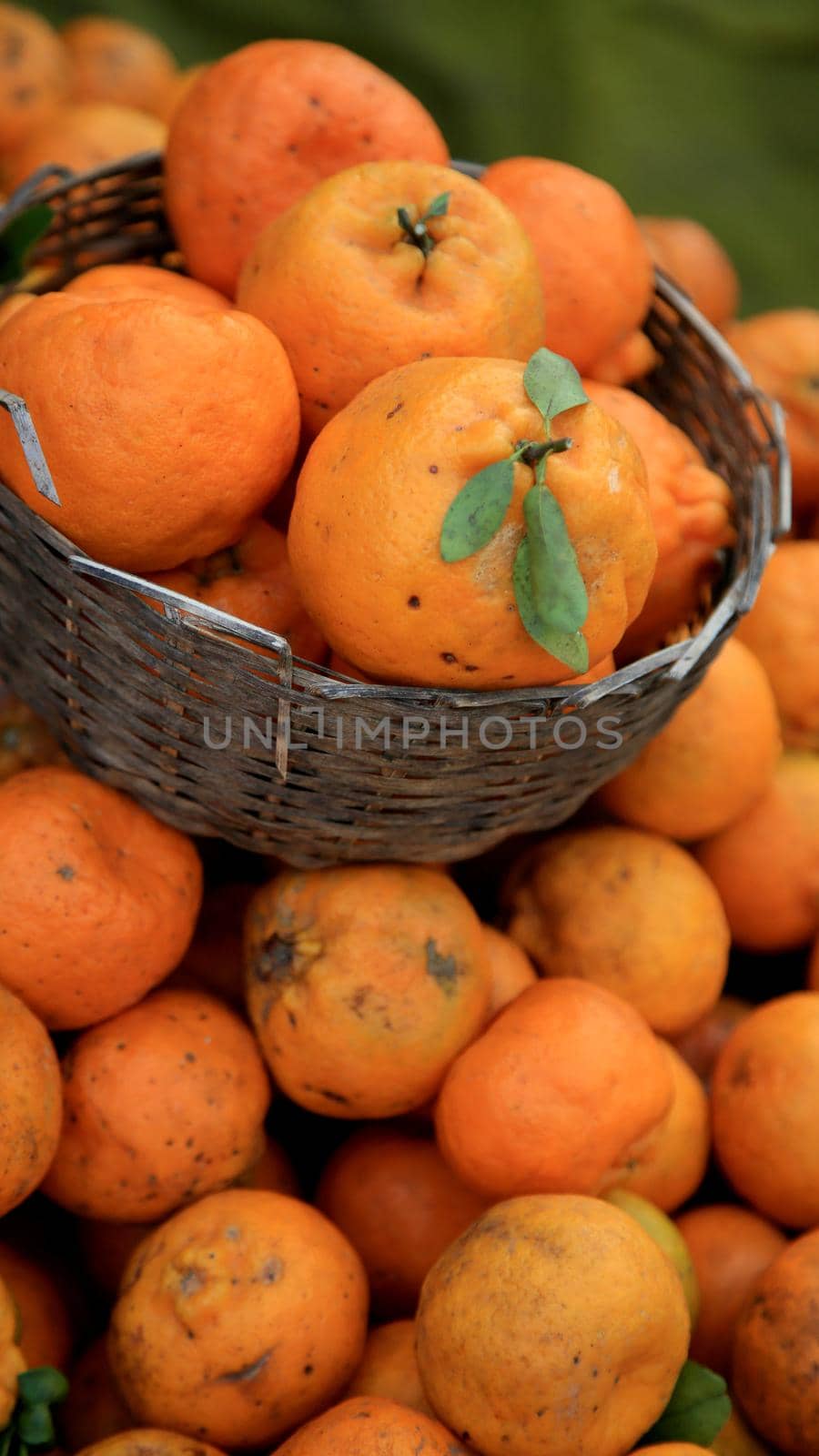 salvador, bahia / brazil - july 10, 2020: tangerine fruit are seen for sale in the city of Salvador.
