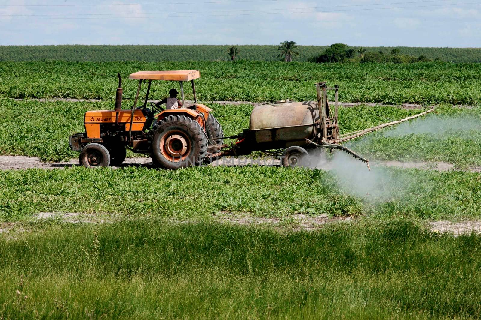 eunapolis, bahia / brazil - april 22, 2010: Tractor is seen during pesticide spraying on watermelon plantation in Eunapolis City.
