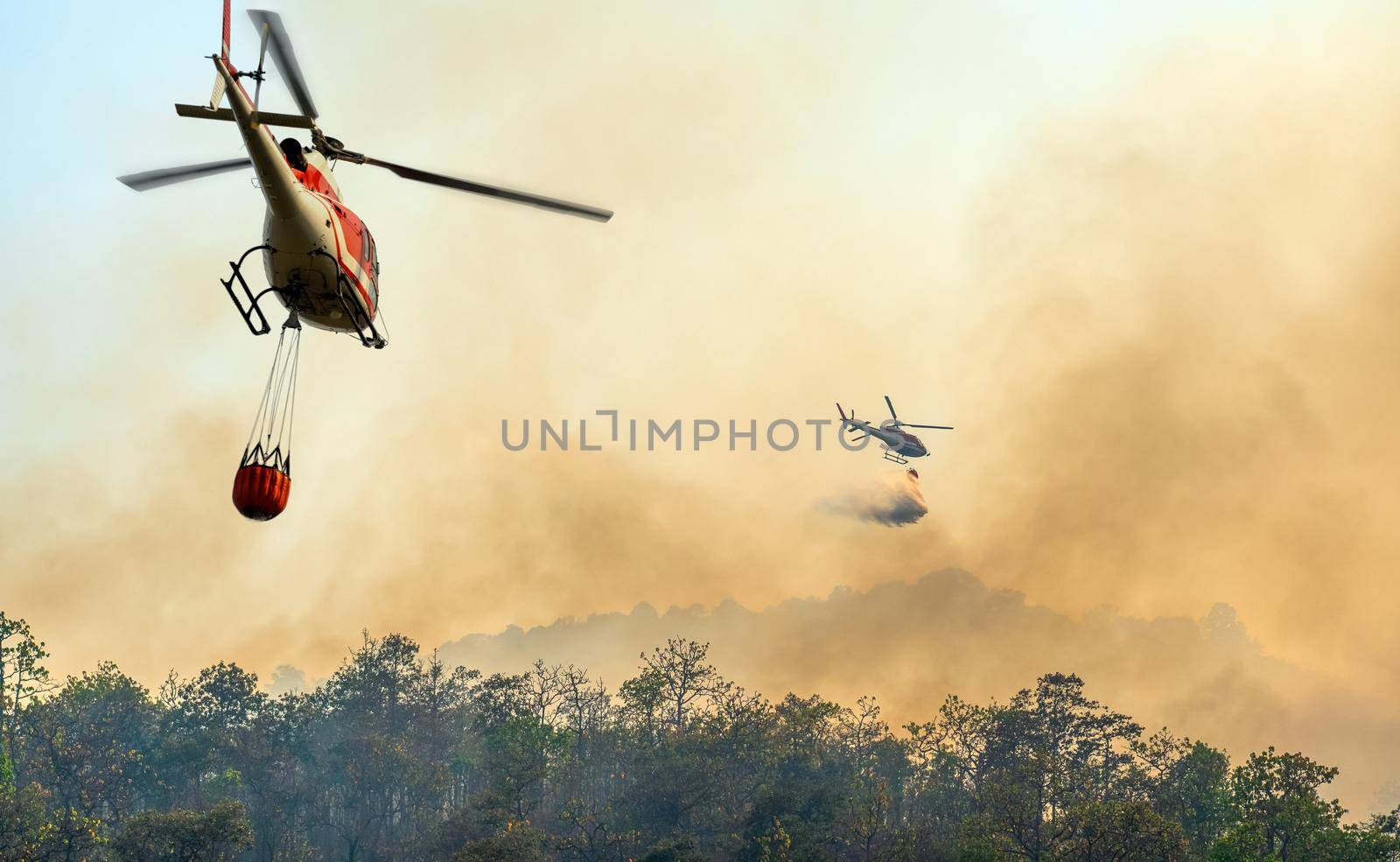 Helicopter dumping water on forest fire