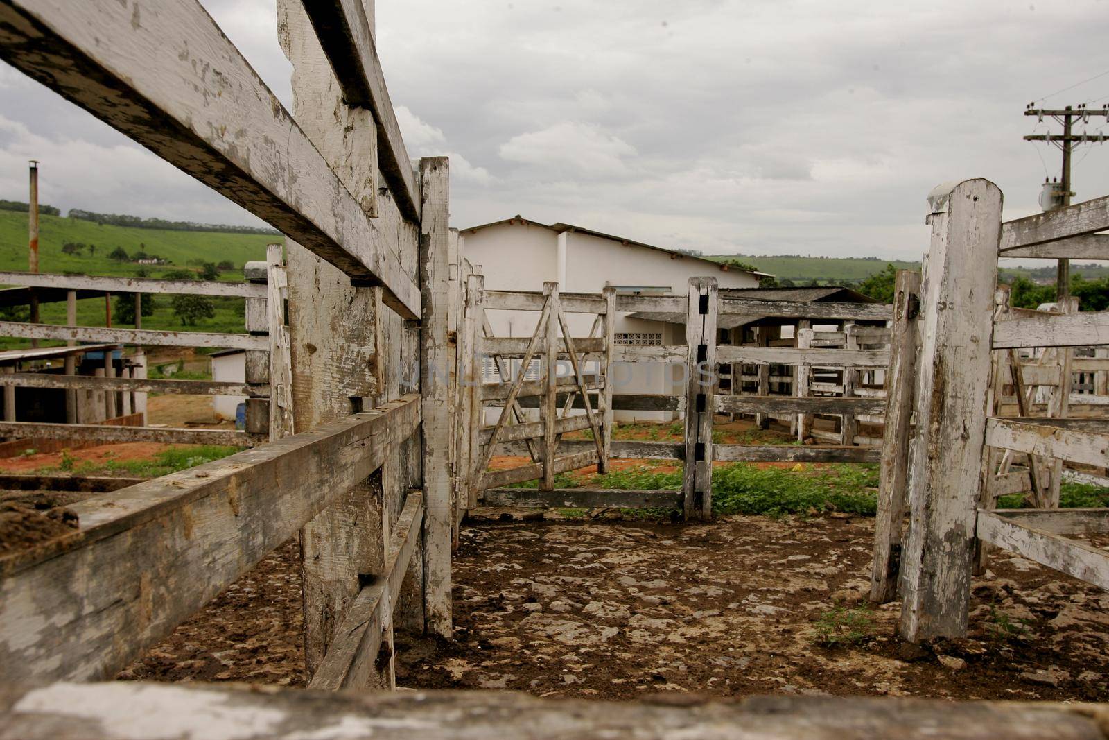 itamaraju, bahia / brazil - november 18, 2010: corral for cattle breeding is seen on a farm in the city of Itamaraju.



