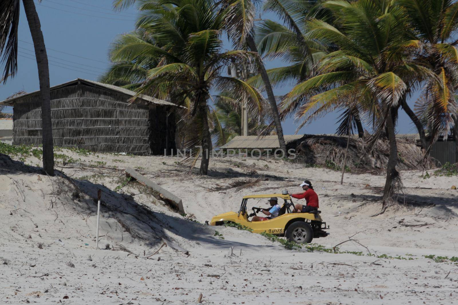 jandaira, bahia / brazil - december 24, 2013: buggy vehicle is seen passing by tourists through the sand dunes of Mangue-Seco, in the municipality of Jandaira.