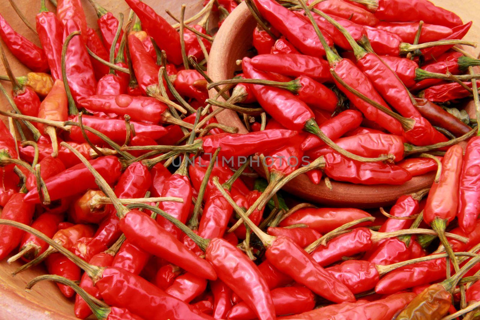 salvador, bahia/ brazil - september 6, 2019: Red pepper for sale at the Sao Joaquim Fair in Salvador.

