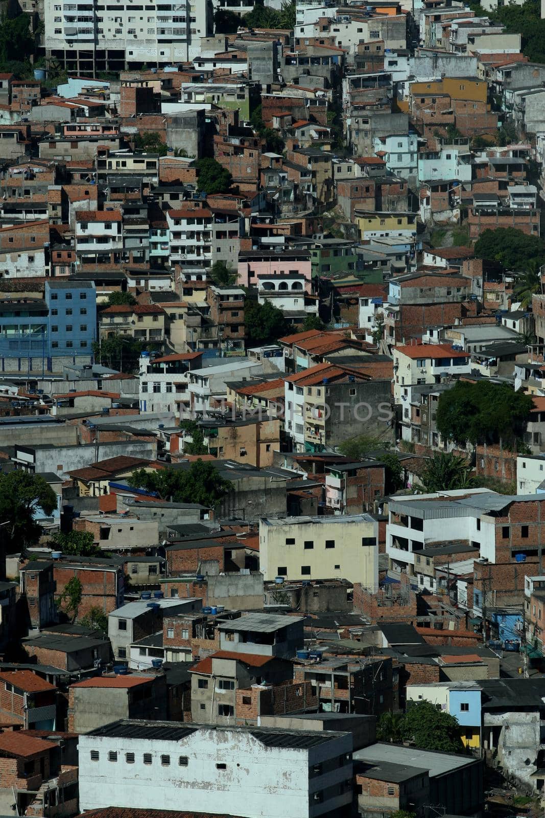 houses in the federation district in salvador by joasouza