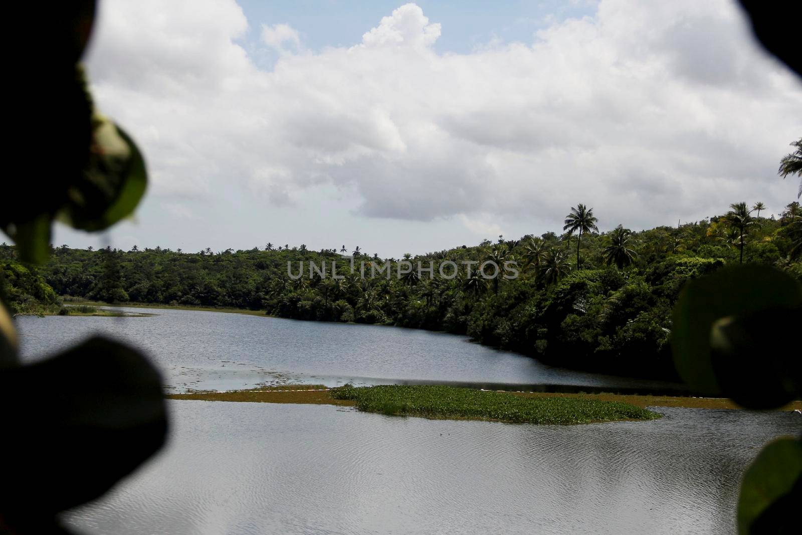 Salvador, Bahia / Brazil - April 24, 2014: view of the Pituacu Lagoon, located in the Metropolitan Park of Pituacu in Salvador.

