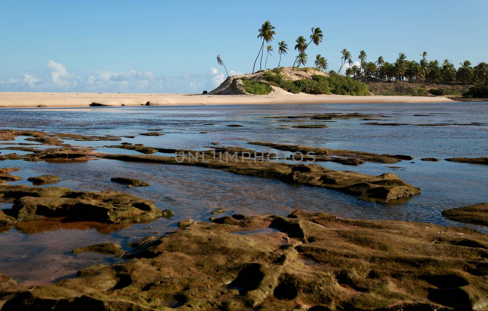 conder, bahia / brazil - september 9, 2012: Young man is seen at Barra do Itariri beach in the municipality of Conde, north coast of Bahia.

