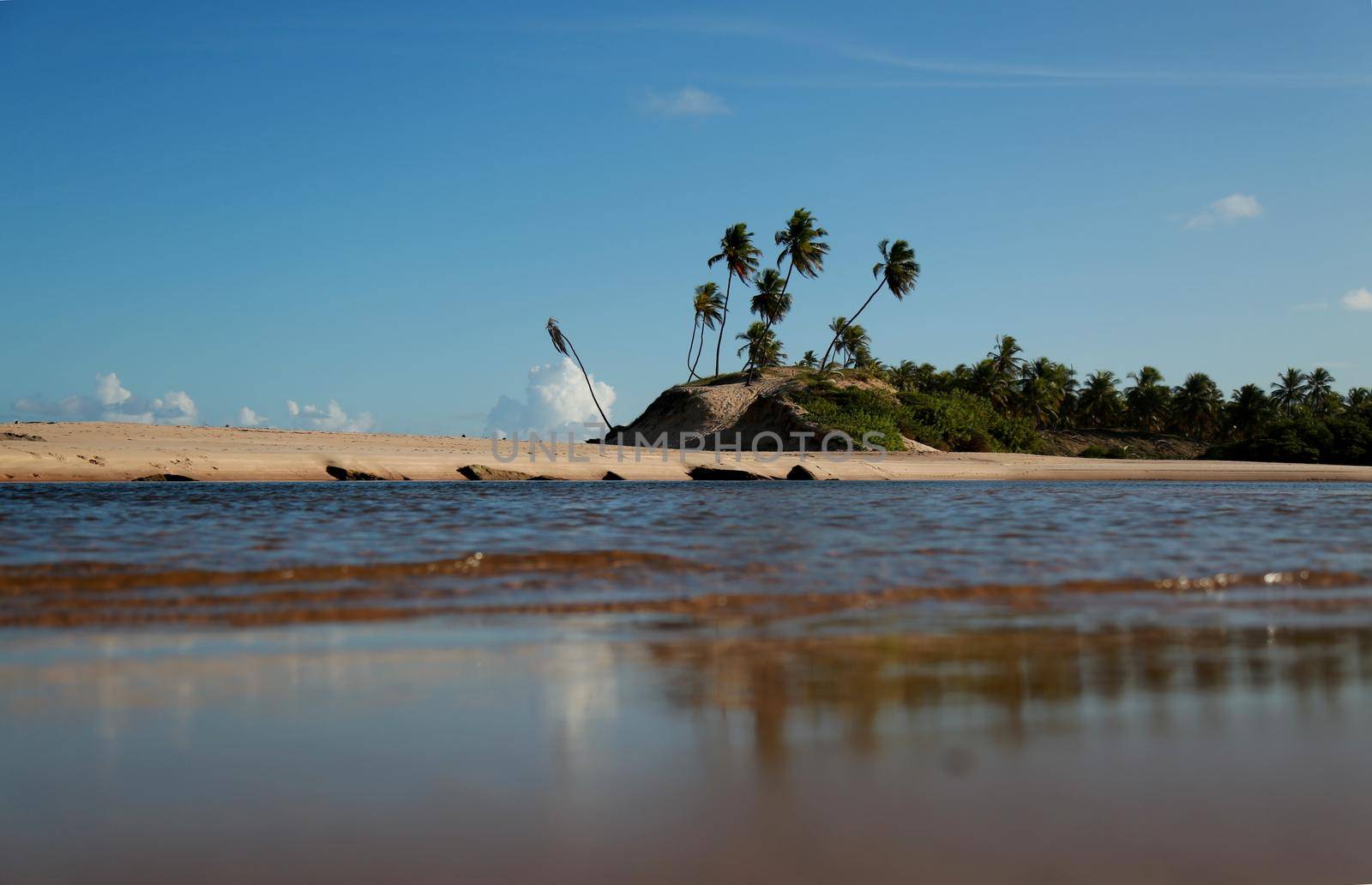 conder, bahia / brazil - september 9, 2012: Young man is seen at Barra do Itariri beach in the municipality of Conde, north coast of Bahia.

