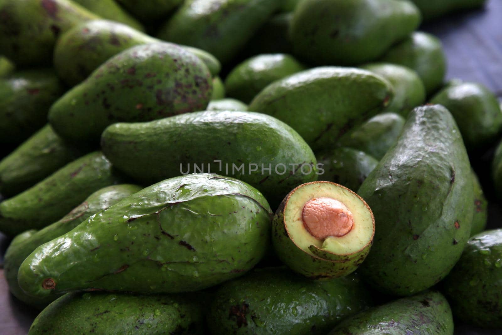 avocado fruit in open market by joasouza