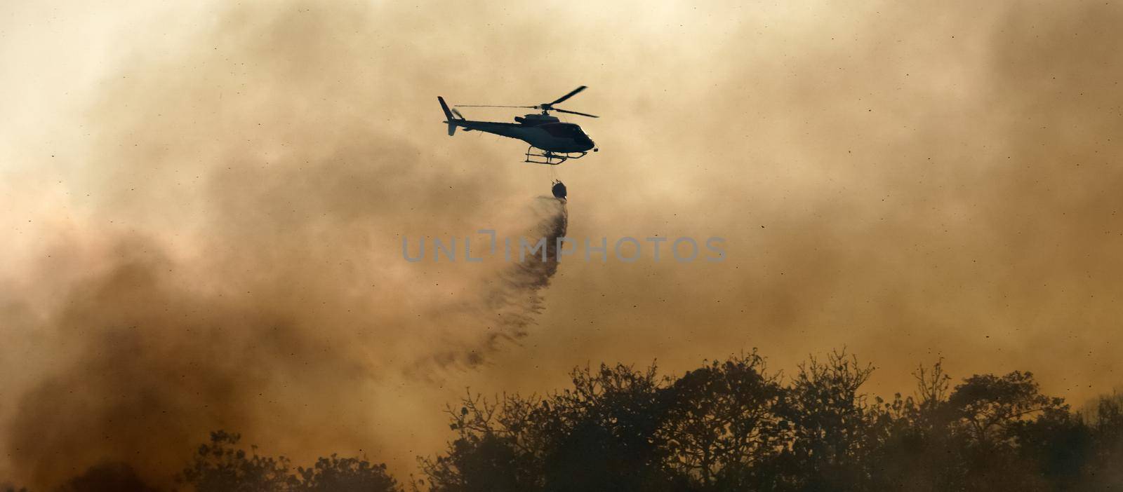 Helicopter dumping water on forest fire