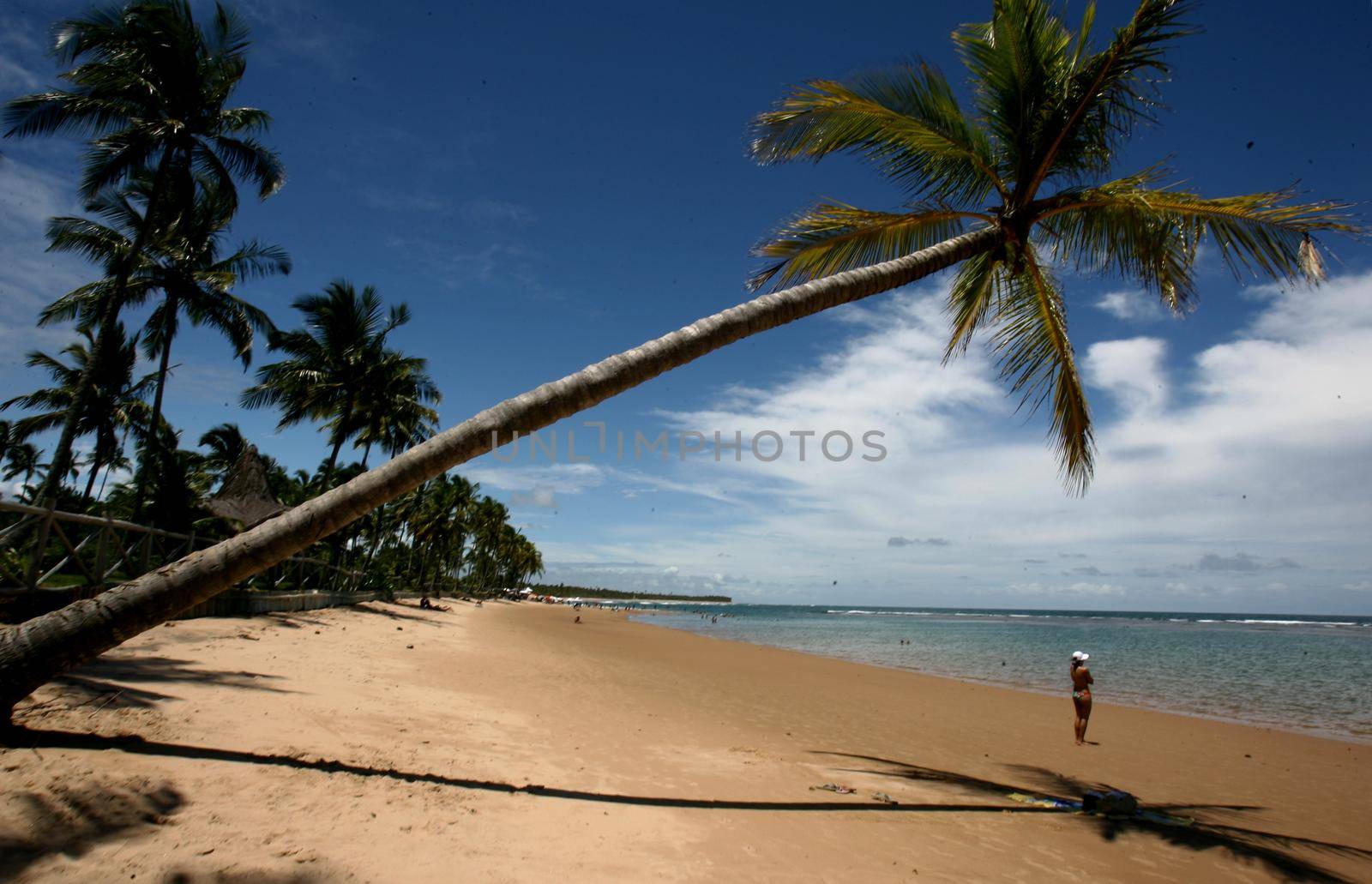 natural paradise in barra grande by joasouza