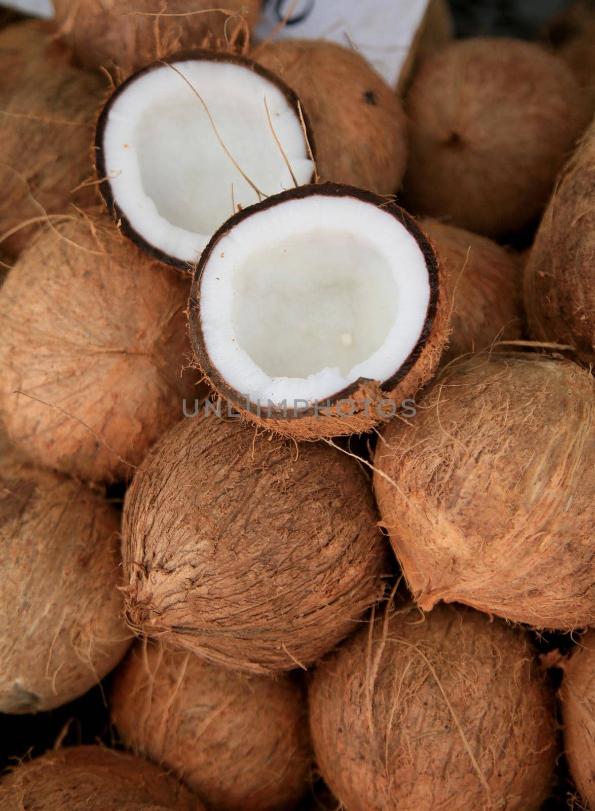 dry coconut for sale at fair by joasouza