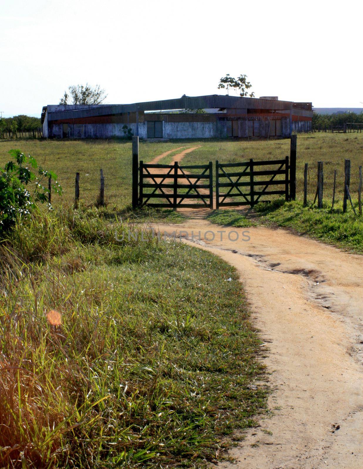 farm gate in rural area by joasouza