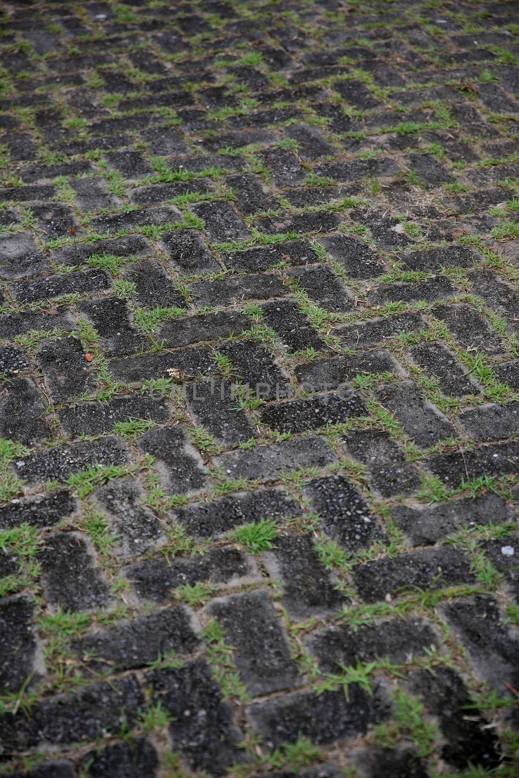 pavement made of concrete bricks by joasouza