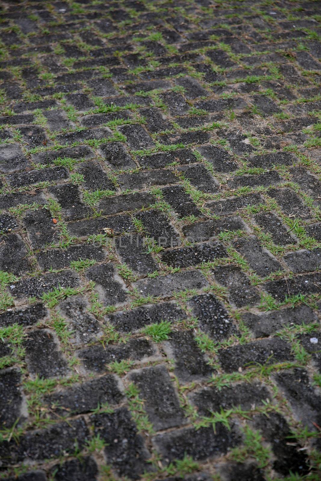 mata de sao joao, bahia / brazil - pavement made of concrete bricks is seen in the city of Mata de Sao Joao.