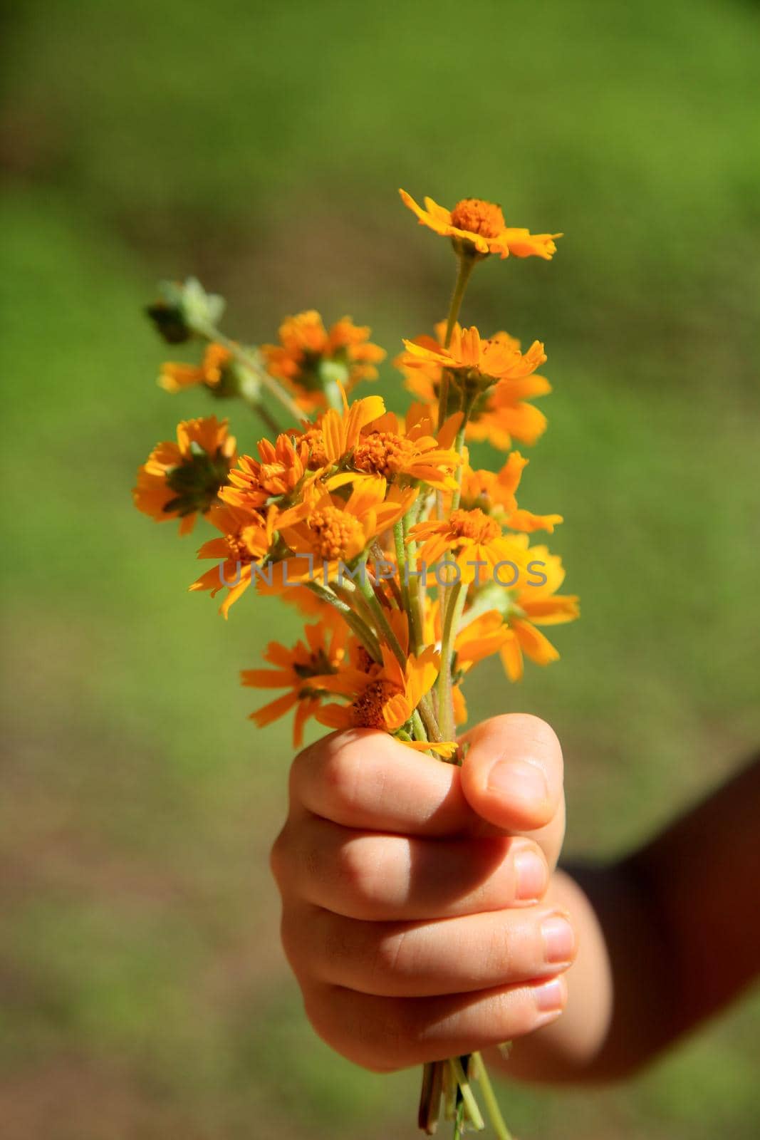 child holding flowers by joasouza
